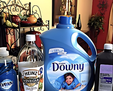 DIY Carpet Cleaner